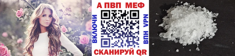 OMG маркетплейс  Шахунья  APVP СК КРИС 