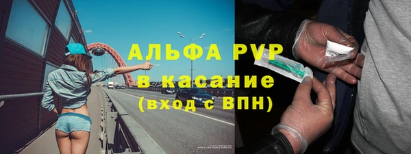 стаф Алзамай