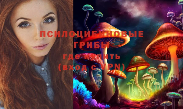 стаф Алзамай