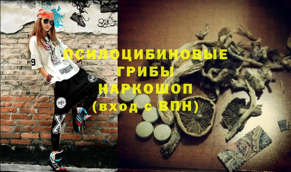 не бодяженный Алексин