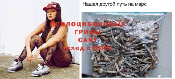 не бодяженный Алексин